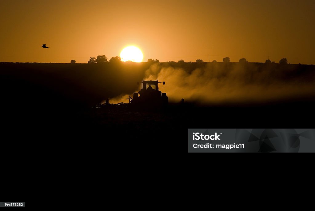 Agricultor ao pôr-do-sol - Foto de stock de Agricultura royalty-free