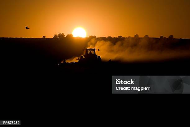 Foto de Agricultor Ao Pôrdosol e mais fotos de stock de Agricultura - Agricultura, Arado - Maquinaria de Agricultura, Exterior