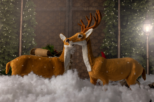 Christmas scenery with snowy reindeer and gift.