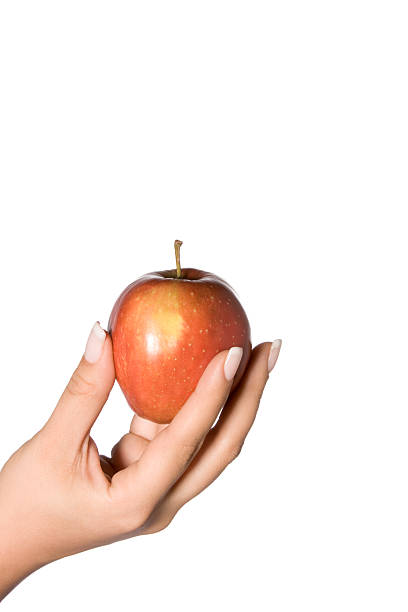 istock Health in your hand 144873457