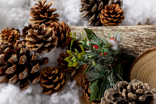 Christmas scenery with wooden logs and pine cones and snow.