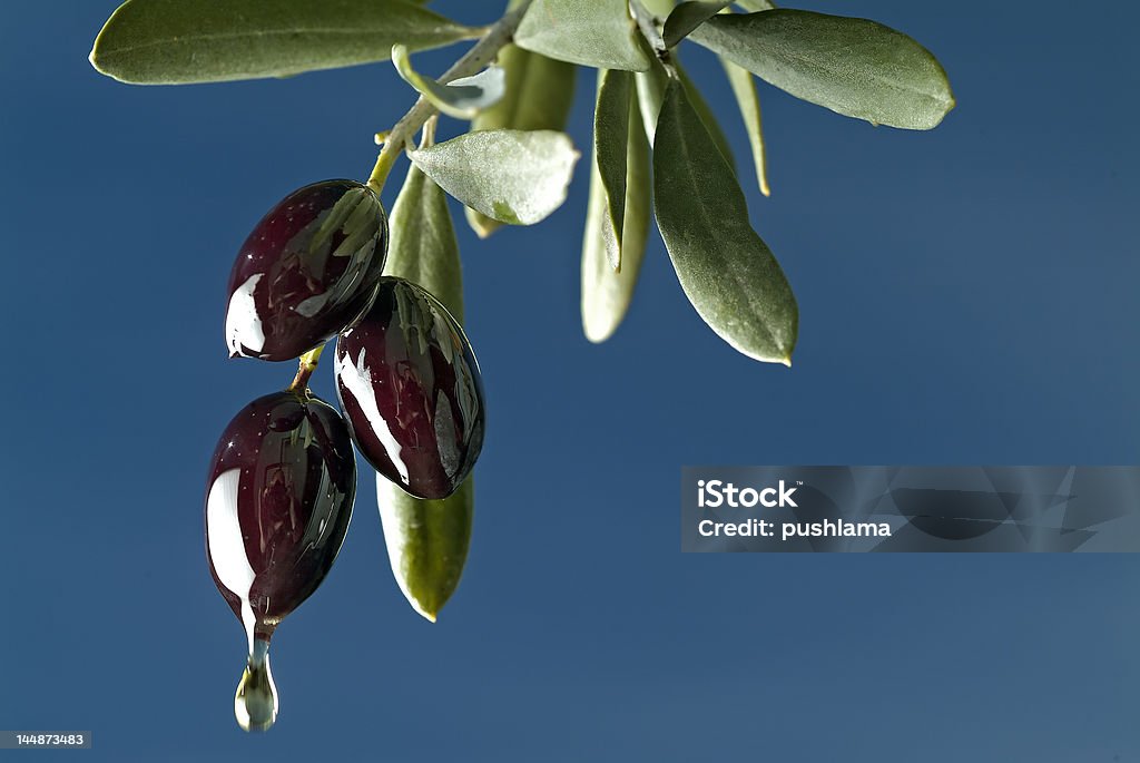 dripping black olives drop of oil from three black olives on branch against blue sky Morocco Stock Photo