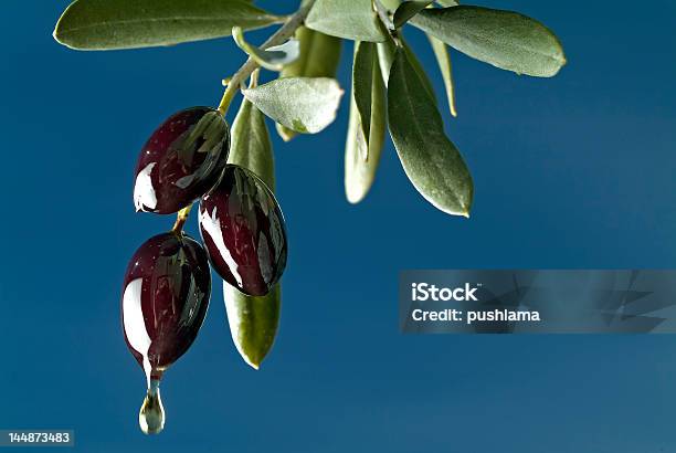 Dripping Black Olives Stock Photo - Download Image Now - Morocco, Olive Tree, Provence-Alpes-Cote d'Azur