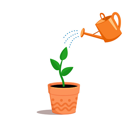garden watering can and waters a flower sprout. Concept of plant growth. Vector illustration cartoon.  flat style isolated.
