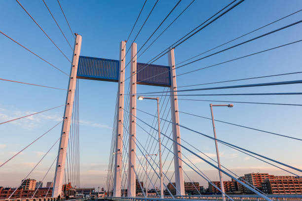 istock Morning at Koremasa Bridge over the Tama River 1448735119