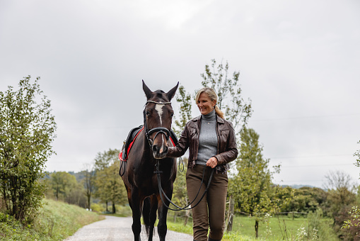 A happy mature blonde female horse rider returning to her horse farm with a brown horse after riding. The horse is walking by her side while she is holding the reins. She is looking at her horse and smiling. They are walking on a country road. The surrounding  trees and meadows are beautiful. The weather is cold and cloudy.