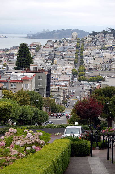 istock lombard street san francisco 144873761