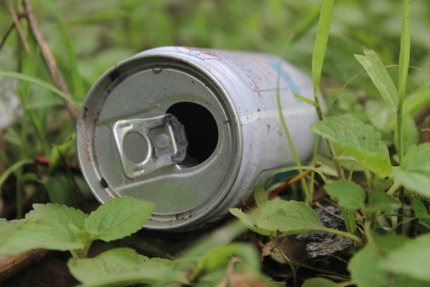 istock discarded milk cans in the grass 1448738481