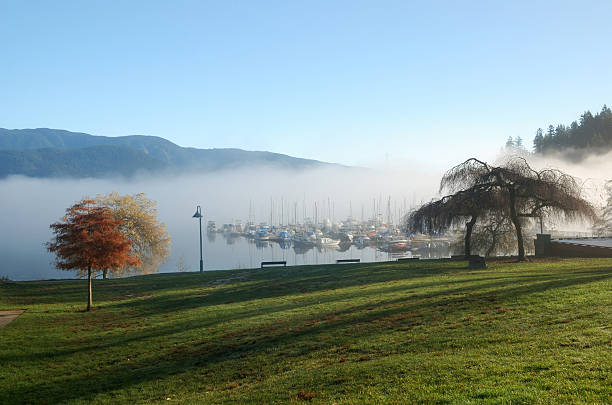 foggy deep cove, north vancouver stock photo