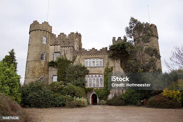 Malahide Castle W Irlandii - zdjęcia stockowe i więcej obrazów Dublin - Irlandia - Dublin - Irlandia, Malahide, Badanie