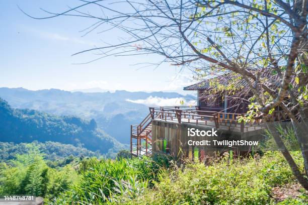The Forest In The Middle Of The Valley With A Bright Morning And Viewpoint Stock Photo - Download Image Now