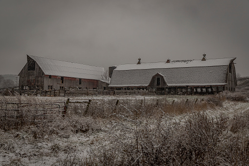 Abandoned barn during a snow shower