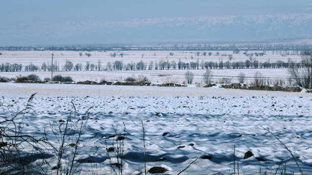 istock Wide view of a mountain valley in winter 1448751627