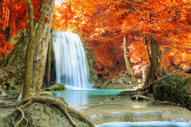 scenic of nature  beautiful waterfall in autumn forest. - erawan imagens e fotografias de stock