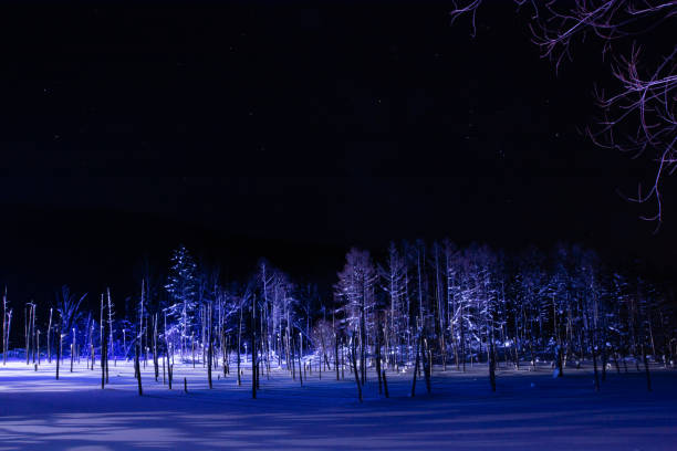 istock Illuminated snow-covered lake at night in Biei 1448755980