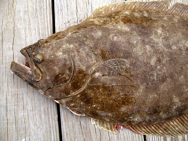 istock Large brown fish on wooden planks 144875743
