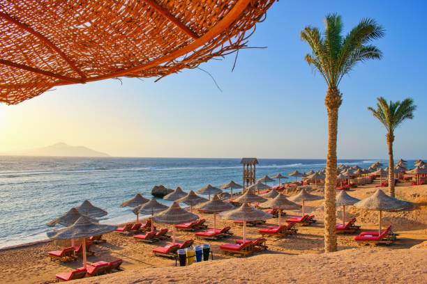 Idylic beach with palms and sun umbrelas, Red Sea, Egypt Idylic beach with palms and sun umbrelas, Red Sea, Egypt Hurghada stock pictures, royalty-free photos & images