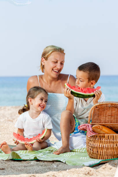 istock Healthy Meal At The Beach 1448758083