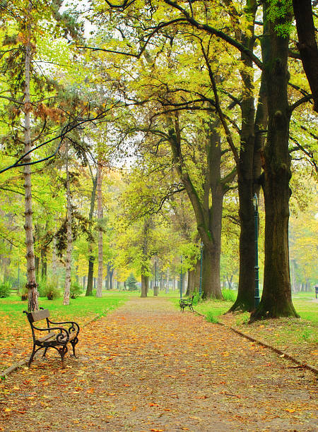 istock Fall in the city park 144875815