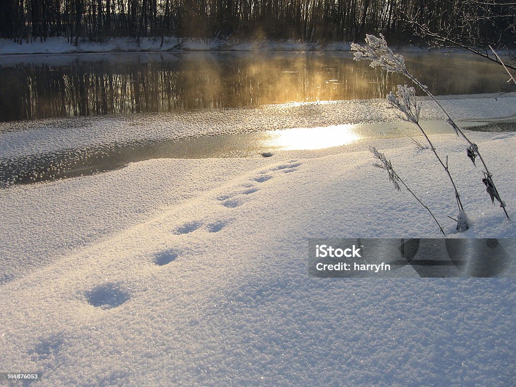 Luz de invierno - Foto de stock de Agua libre de derechos