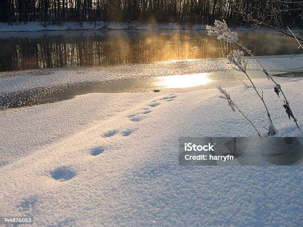 Luz De Invierno Foto de stock y más banco de imágenes de Agua - Agua, Aire libre, Belleza