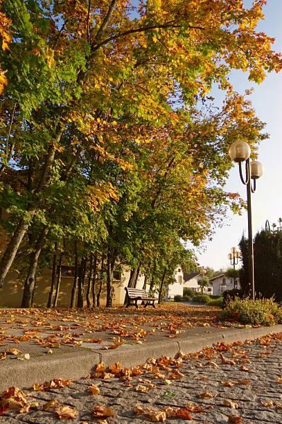 istock autumn on town street 144876140