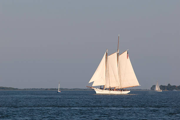 barcos à vela no porto de charleston - charleston harbor - fotografias e filmes do acervo