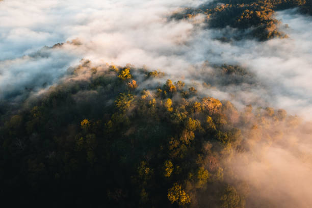 istock Mountains and fog in the morning, high angle view 1448763419