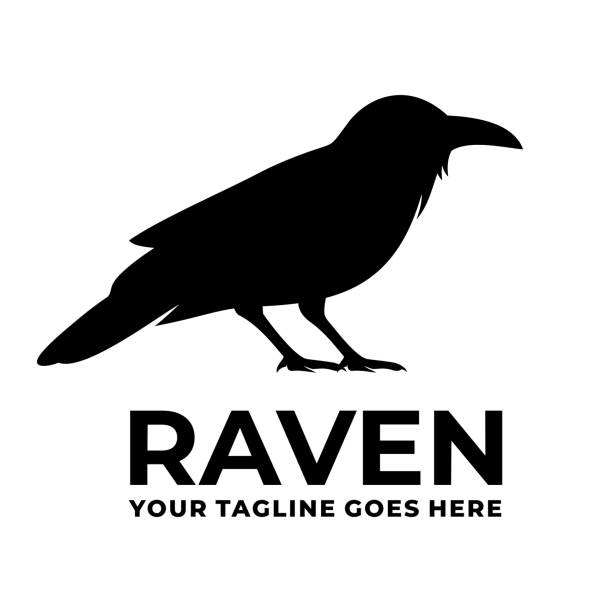 Raven simple flat logo design vector Raven simple flat logo design vector raven bird stock illustrations