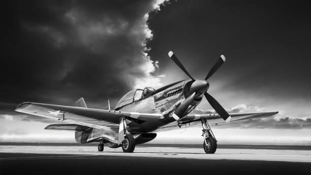 aircraft historical fighter plane on a runway fighter plane vintage stock pictures, royalty-free photos & images