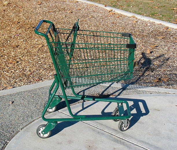 La cesta de compras en Parque verde - foto de stock