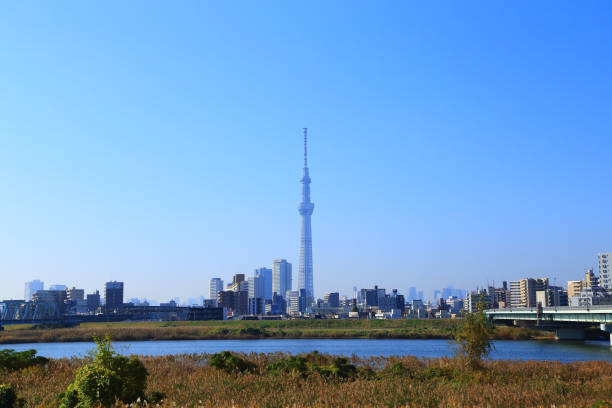 istock Tokyo urban landscape from Arakawa riverbed 1448769385