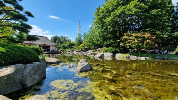 istock Japanese Hamburg in Summer 1448769551