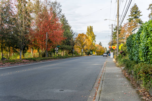 istock Seatac Street Autumn Trees 11 1448770468