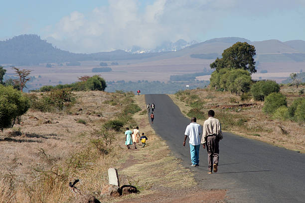 istock Road to Mt. Kenya 144877173