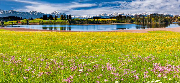 panoramic view to mountain range behind lake and meadow with flowers at springtime