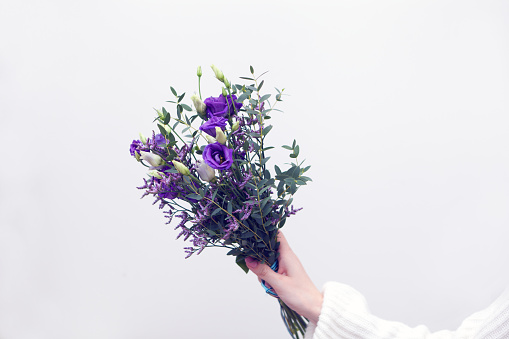 small violet bouquet. Holding in human hand. White background and space for text. Small business. International Women Day gift.
