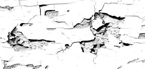 Grunge background is a black and white texture of old paint that is peeling off a wooden board Grunge background is a black and white texture of old paint that is peeling off a wooden board. Vector illustration peeling off stock illustrations