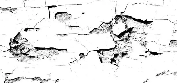 Vector illustration of Grunge background is a black and white texture of old paint that is peeling off a wooden board