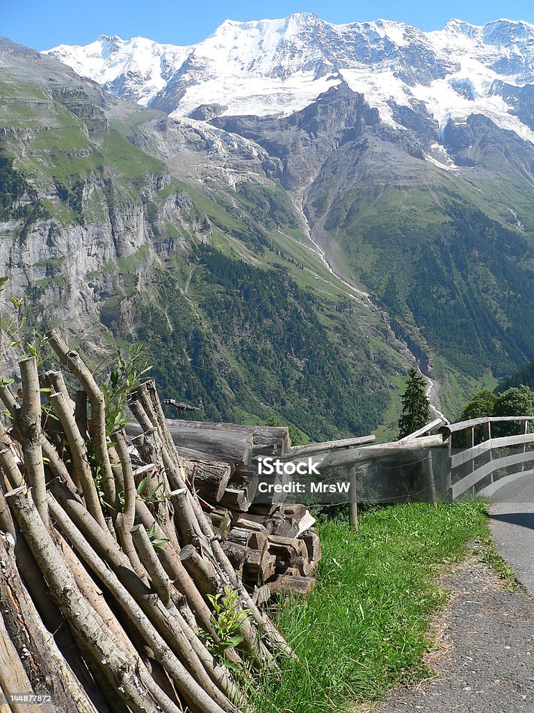 스위스 알프스 로그 더미 - 로열티 프리 0명 스톡 사진