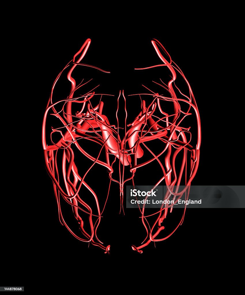 Мозг артерий вид сверху - Стоковые фото Кровоток роялти-фри