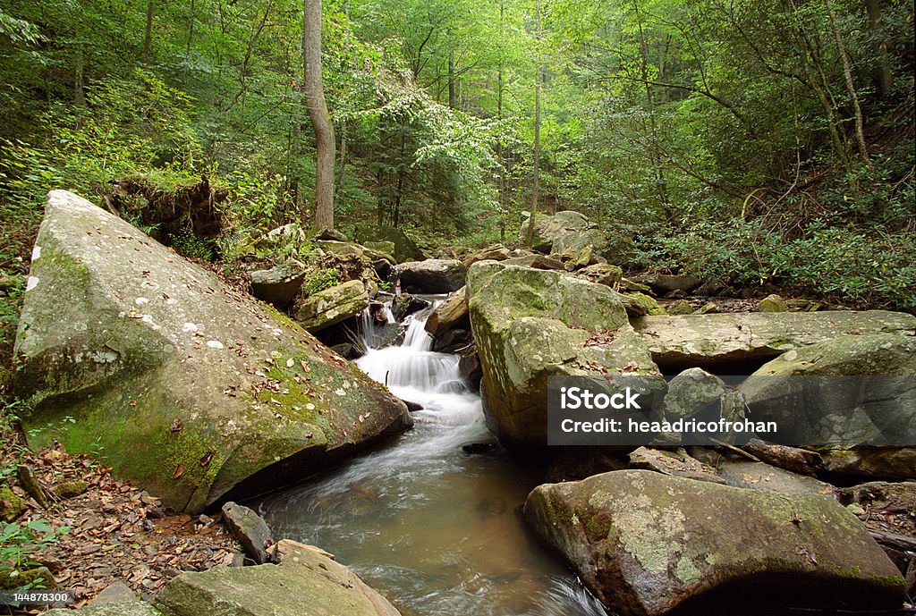 Smith Wesson Creek Cascade - Royalty-free Ao Ar Livre Foto de stock