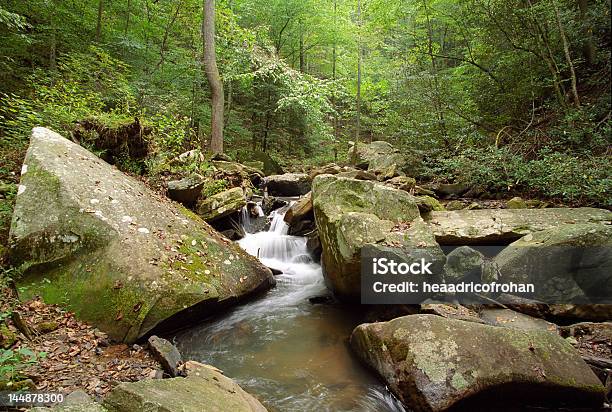 Smith Wesson Creek Cascade - Fotografias de stock e mais imagens de Ao Ar Livre - Ao Ar Livre, Appalachia, Carolina do Norte - Estado dos EUA