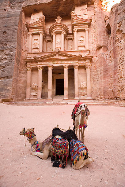 istock Two camels in front of Treasury at Petra Jordan 144878321