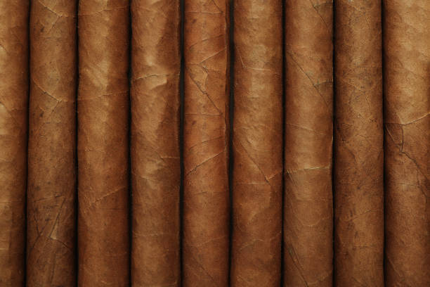 istock Closeup of many cigars as background, top view 1448786984