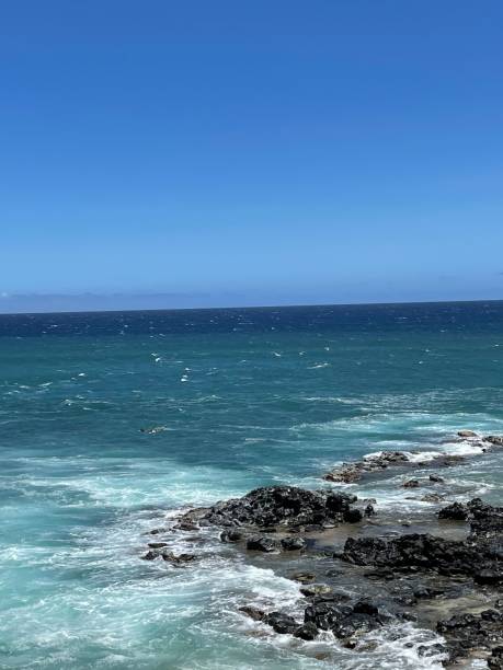 istock Seascape in Maui, Hawaii 1448789504