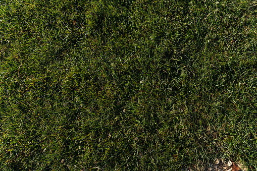 Close up aerial view of the grass on a soccer field