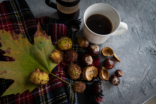 Autumn season; coffee, blanket and fall leaves over rustic background