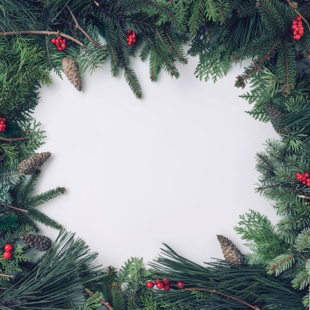 istock Christmas composition with red berries, pine branches, and copy space on light background 1448792024