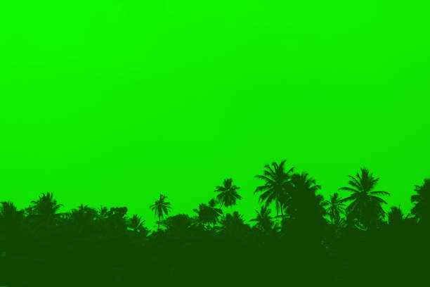 Green silhouettes of palm trees over green background